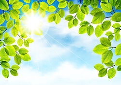 Environment