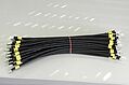 Wires with ferrules and ring cable lug 